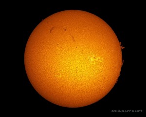 The Sun in all it's Glory.