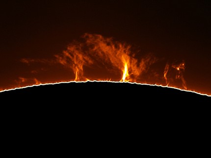 A Group of Solar Prominences