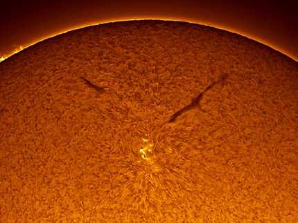 Sunspot in the New Solar Cycle (APOD)